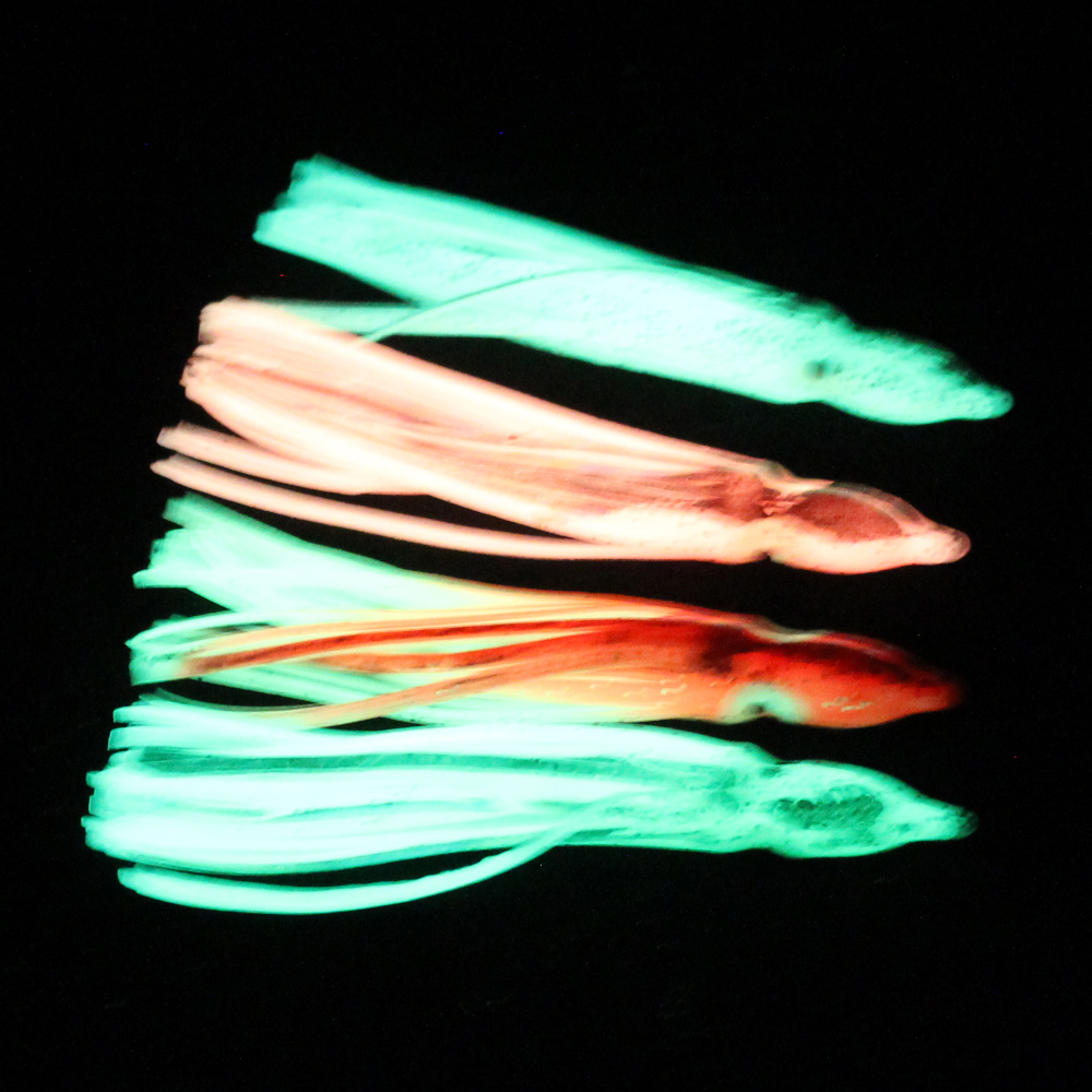 10 Buah Umpan Cumi-Cumi Lunak  - Fishing Lure Buzzbait ulasan dan harga