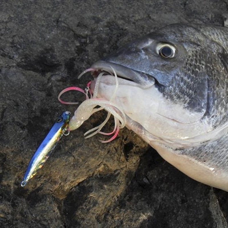 Obsesi J25 Inchiku Umpan Cumi- - Fishing Lure Buzzbait ulasan dan harga